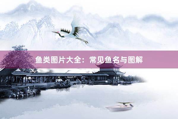 鱼类图片大全：常见鱼名与图解