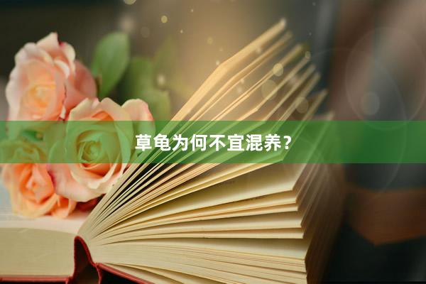 草龟为何不宜混养?